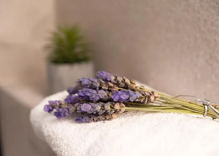 Superior Daire Hanya