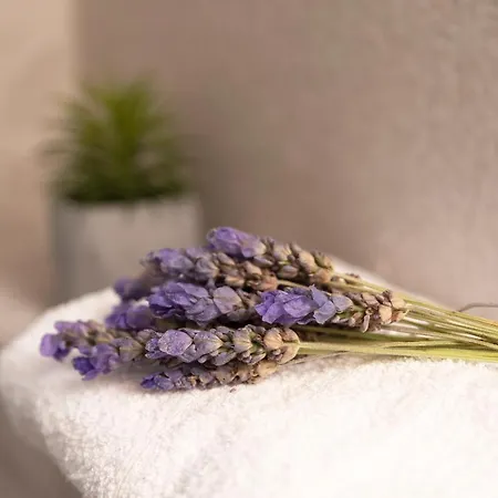 Superior Apartament Chania (Crete)